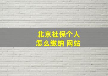 北京社保个人怎么缴纳 网站